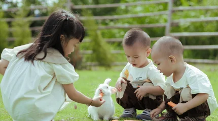 Енді алимент өндіру жеңілдейді