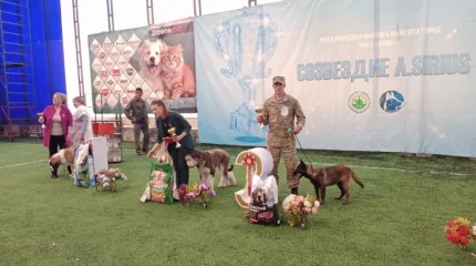 Собаки Нацгвардии завоевали титулы на престижной выставке