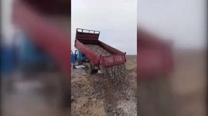 Причины массовой гибели рыбы в одном из водоёмов выясняют в ЗКО