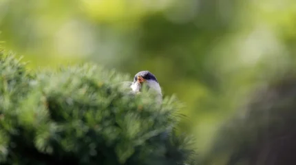 Погода на 27 марта: в Астане гололедица, на юге — до +28