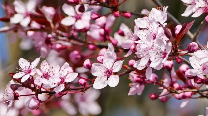 Ауа температурасы +30 градусқа дейін көтеріледі