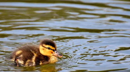 Погода на 28 марта: весна набирает силу, но северу снова напомнит о себе холод
