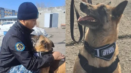 Служебную собаку проводили на пенсию в Караганде