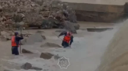 Поиски утонувшего ребёнка в Туркестанской области: в МЧС рассказали подробности