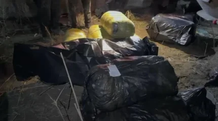 Жезқазған - Қарағанды автожолында есірткі тасымалдауға қатысы бар 5 адам ұсталды