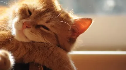 В Алматы +27, в Шымкенте +30: погода без осадков ожидается в среду, 1 апреля