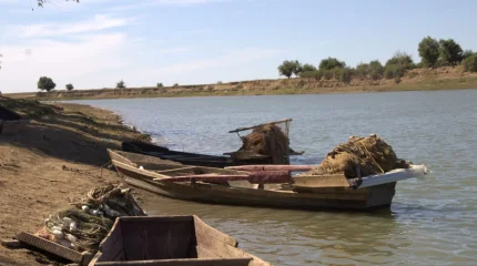 Арал-Сырдария бассейнінде балық аулауға шектеу қойылды