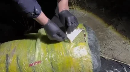 Ұлытау облысында 300 келі марихуана тасымалдаған 5 адам ұсталды, - ІІМ