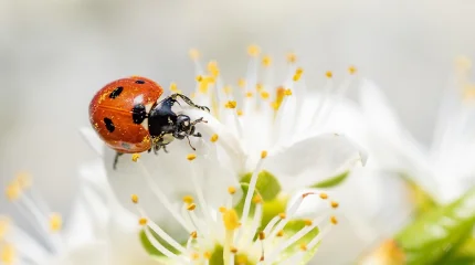 Потепление и осадки: какой будет погода 31 марта в Астане, Алматы и Шымкенте