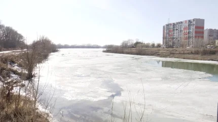 Убил жену из-за бизнеса: жителя Павлодара приговорили к 15 годам тюрьмы