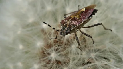 Қандаладан құтылу үшін eOtinish арқылы өтініш беруге болады