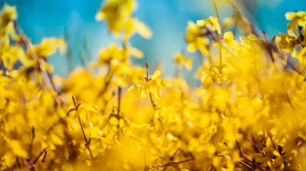 Весна набирает обороты: какая погода ожидается 2 апреля в Астане, Алматы и Шымкенте