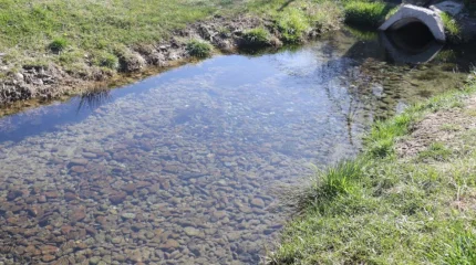 «Мөлдір бұлақ» республикалық экологиялық акциясы: мыңдаған қазақстандық бұлақтарды тазартуға шықты