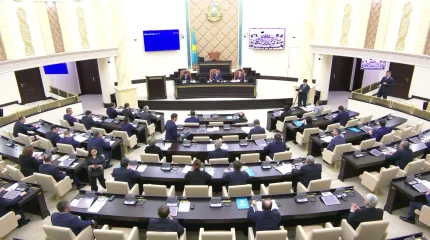 INTERPOL арқылы шет мемлекеттерден 300-ден астам адам ұсталды