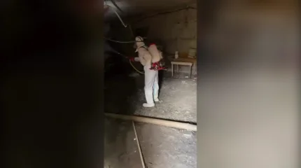 Астанада жәндіктерге қарсы залалсыздандыру жұмыстарына дайындық басталды