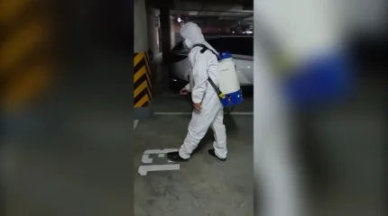 В Астане началась подготовка к обработке от насекомых