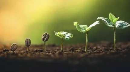 Ученые создают «кофе будущего», устойчивый к глобальному потеплению