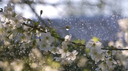 Дожди идут в Казахстан