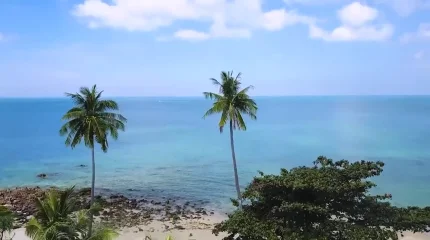 Таиландта қазақстандық әйел заңсыз жұмыс істегені үшін ұсталды