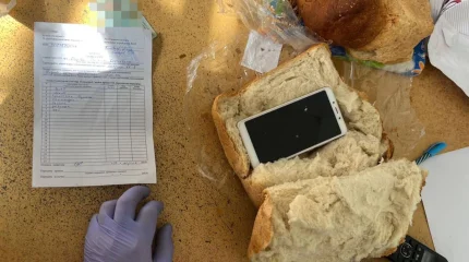 Смартфон запекли в хлебе, чтобы передать заключенным в Павлодарской области