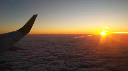 Сенегал вводит беспрецедентную меру: министрам запретили зарубежные командировки