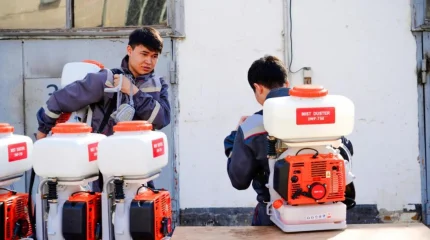 В Астане начнётся масштабная борьба с комарами и мошками