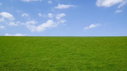 В Актобе изъяли неиспользуемый участок: почти 2 гектара вернули государству