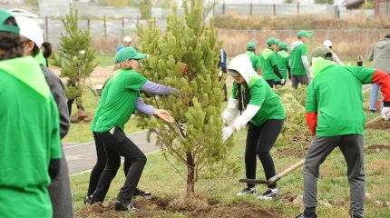 «Таза Қазақстан»: Алматыда 2026 жылы 550 мыңнан астам жасыл желек егіледі
