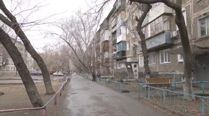 Павлодарда 50 жастағы ер адам мысықты құтқарам деп өзі мерт болды