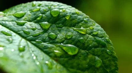 Грозы и потепление: какая погода ожидается 7 апреля в Астане, Алматы и Шымкенте