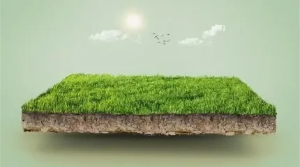 Земли на 363 млн тенге вернули в собственность государства в СКО