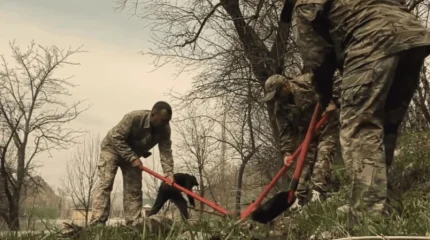 «Мөлдір бұлақ»: очищены источники вдоль реки Сайрамсу