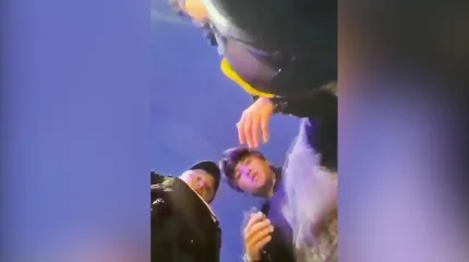 Павлодарда полицейді балағаттаған жүргізуші жауапкершілікке тартылды