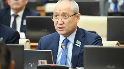 "Әр бір сағат сайын 5 адамға ит шабуылдайды"-Жаңбыршин