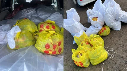 БҚО-да полицейлер заңсыз балық тасымалын тоқтатты: 400 келіге жуық балық тәркіленді