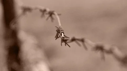 Начальник колонии в СКО осужден за мошенничество и взятку