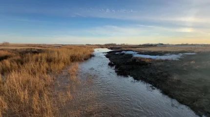Қостанай облысында су тасқынынан бірде-бір үй зардап шеккен жоқ