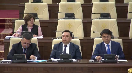 Единый реестр психологов планируют создать в Казахстане