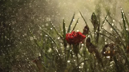 В Алматы гроза, в Шымкенте сильный ветер: погода в пятницу, 10 апреля