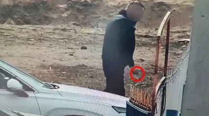 Таза Қазақстан: наказаны более 4 тысяч нарушителей чистоты и порядка в области Абай