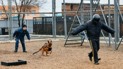 Қызметтік иттердің көмегімен 83 қылмыс ашылды