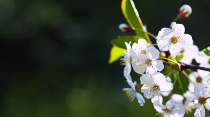 Прогноз погоды на 11 апреля 2026 года: в Казахстане сохранится весенняя неустойчивость атмосферы