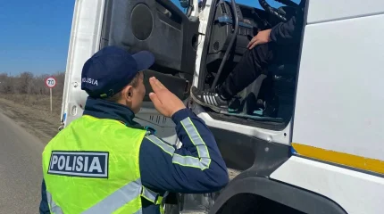 Дальнобойщика отправили за решетку за фальшивые номера в Костанайской области