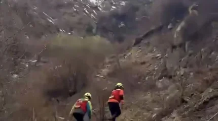 Испугались воя животных: парня с девушкой спасли в горах Алматы