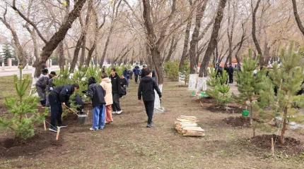 Қарағандыда бір күнде 400 ағаш егілді