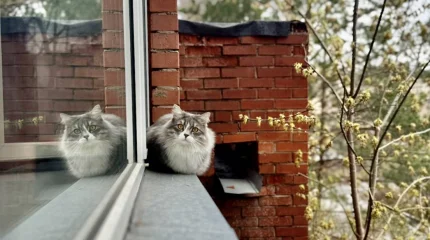 Пасмурно и дождливо: прогноз погоды на три дня