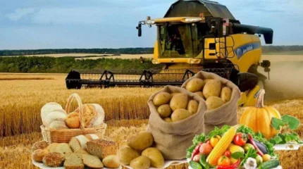 Азық-түлік өндірісі 665 млрд теңгеден асты