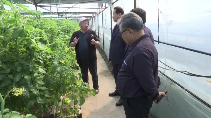 «Ауыл аманаты» ауыл кәсіпкеріне мүмкіндік ашты: Қазығұрттағы табысты жоба