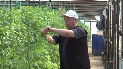 «Ауыл аманаты» открыл новые возможности для сельского предпринимателя в Туркестанской области