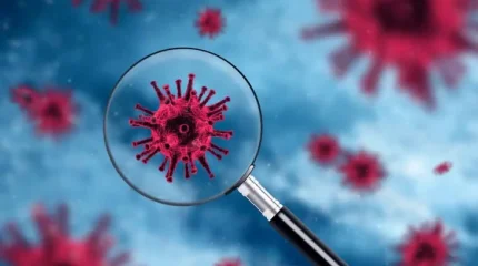 Жаңа штамм Қазақстанда анықталған жоқ